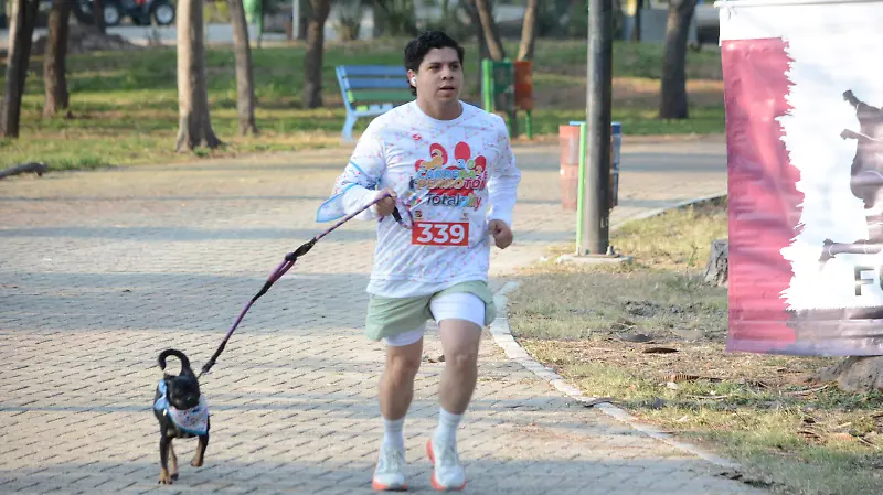 Las personas corrieron al ritmo de los perros. 